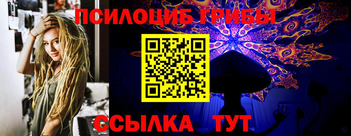 Псилоцибиновые грибы Cubensis  Вход с VPN  Губкинский 